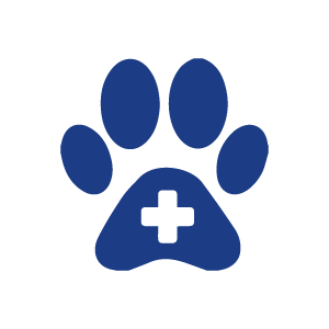 Veterinária